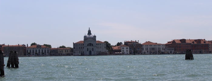 Punta della Salute is one of Amit’s Liked Places.