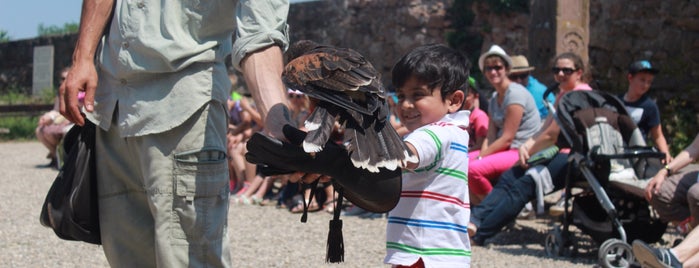 La Volerie des Aigles is one of Amit'in Beğendiği Mekanlar.