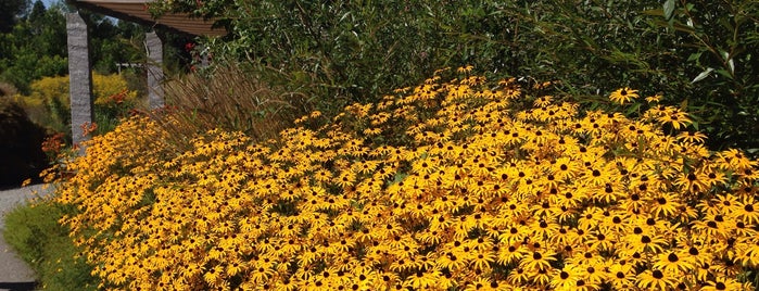 Mainau is one of Amit'in Beğendiği Mekanlar.