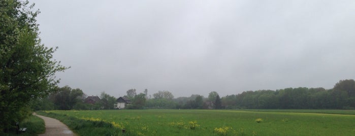 Bettingerstrasse is one of Amit’s Liked Places.