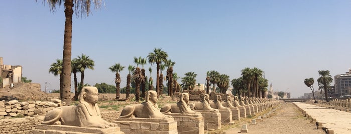 Avenue of the Sphinxes is one of Hurghada to Luxor excursion.
