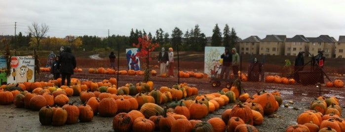 Southbrook Pumpkin Patch is one of Places for kids.