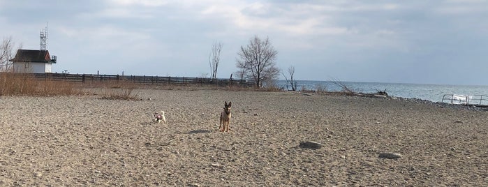 Kew Beach Off Leash Dog Park is one of Doggie.