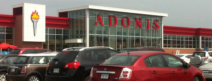Adonis is one of Montreal International Food Markets.