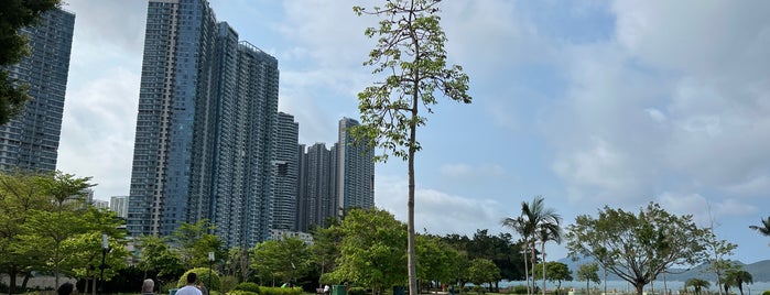 Cyberport Waterfront Park is one of Daniel’s Liked Places.