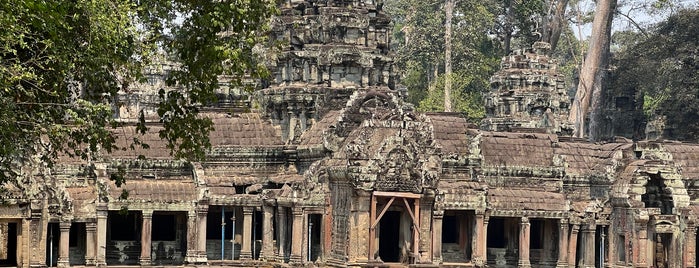 Ta Prohm ប្រាសាទតាព្រហ្ម is one of Angkor.