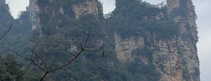 Zhangjiajie National Forest Park is one of 4sqDiscoveries.