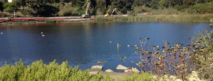 Mountain Lake Park is one of San Francisco Bay.