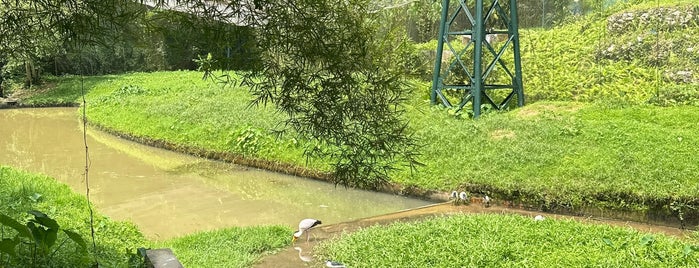 Kuala Lumpur Bird Park is one of Malaysia.