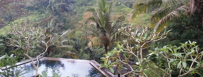 Beji Ubud Resort is one of Bali.