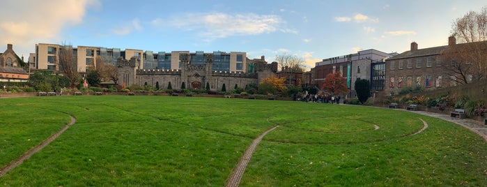 Chester Beatty Library Roof Garden is one of Dublin/Ireland.