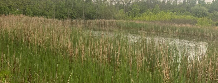 Wetlands Park is one of Dates in West Chester.