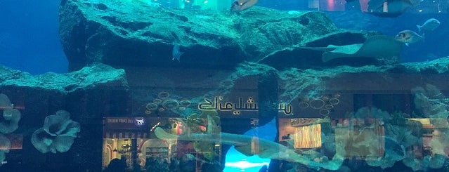 Dubai Aquarium is one of Tempat yang Disukai Håkan.
