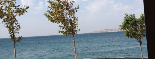 Gönül Bahçesi is one of Nilaya.