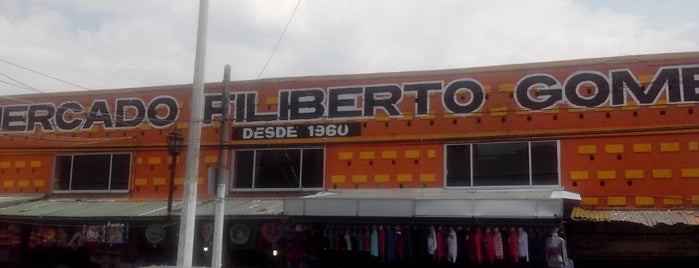 Mercado Municipal "Filiberto Gómez" is one of Tempat yang Disukai Silvia.
