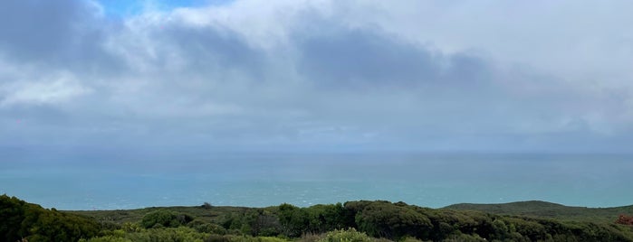 Bluff Lookout Point is one of New Zealand 🥝.