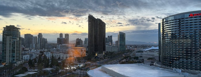 Manchester Grand Hyatt San Diego is one of One Day in San Diego 2021.