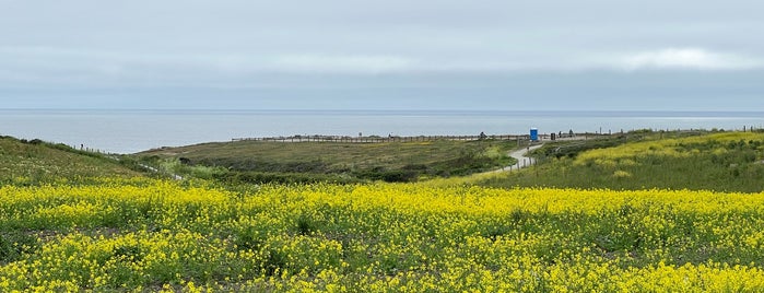 Cowell Ranch Beach & Trailhead is one of Robert’s Liked Places.