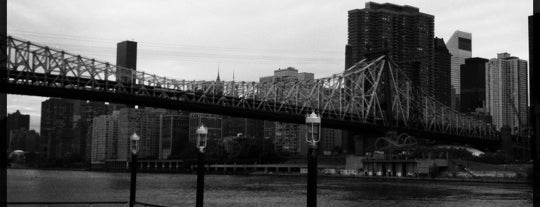 Roosevelt Island is one of SA Visitors - To Do List!.
