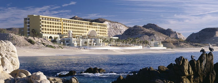 Marquis Los Cabos Resort and Spa is one of Sea Turtle Protection Network.
