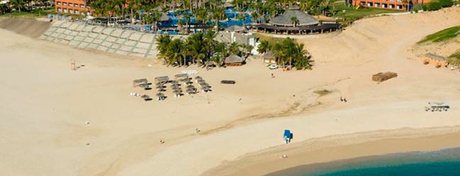 Paradisus Los Cabos is one of Sea Turtle Protection Network.