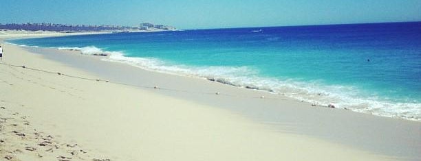Medano Beach is one of The most swimmable beaches in Los Cabos..