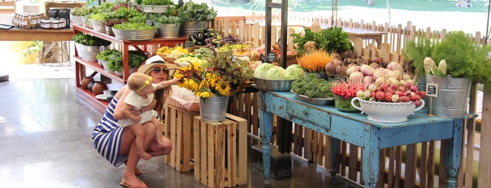 Flora's Field Kitchen is one of Great family fun spots for a Los Cabos vacation..