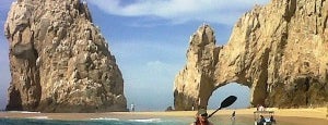High Tide Los Cabos is one of 10 ways to explore Cabo with eco tours..