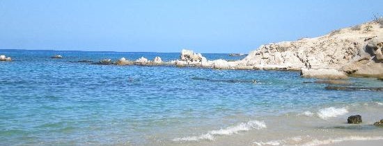 Parque Nacional Cabo Pulmo is one of Las mejores playas para nadar en Los Cabos..