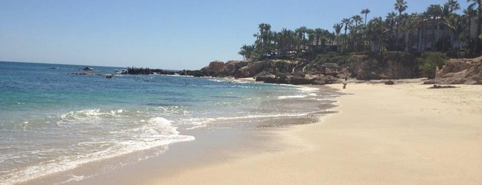 Palmilla Beach is one of Las mejores playas para nadar en Los Cabos..