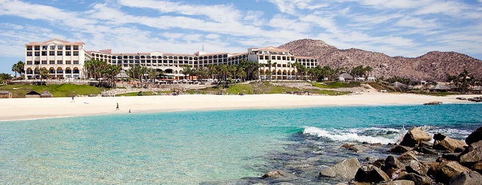 Hilton Los Cabos is one of Sea Turtle Protection Network.