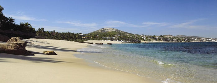 One&Only Palmilla is one of Turtles release in Los Cabos..