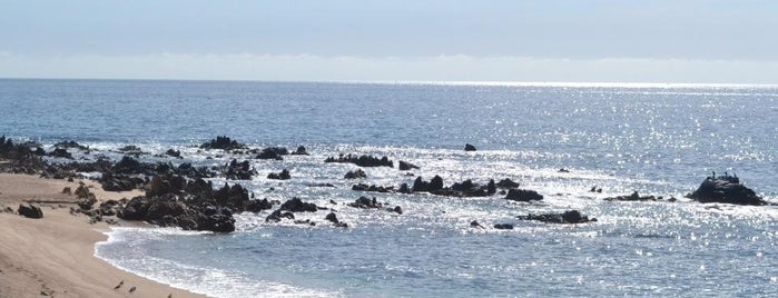Bahia Santa Maria is one of Las mejores playas para nadar en Los Cabos..