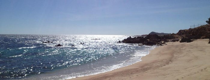 Playa Las Viudas is one of Las mejores playas para nadar en Los Cabos..