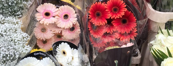 Columbia Road Flower Market is one of London.