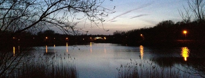 Goldsworth Park Lake is one of Guide to Woking's best spots.