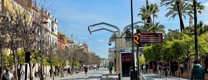 Metrocentro T1 - Puerta de Jerez is one of Sevilla.