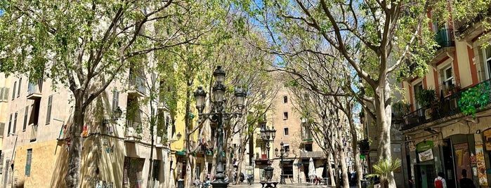 Plaça de Sant Agustí Vell is one of Posti che sono piaciuti a Kathleen.