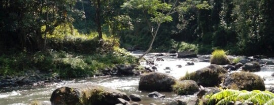 Ayung River is one of Bali - Ubud.