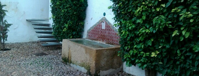 Sala Orive is one of Patios de Cordoba.