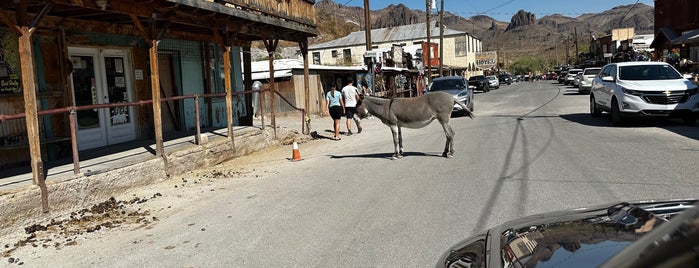 Oatman, AZ is one of To visit in USA.