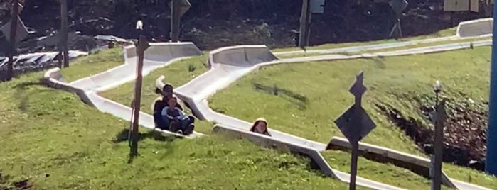 Alpine Slide is one of gatlinburg.