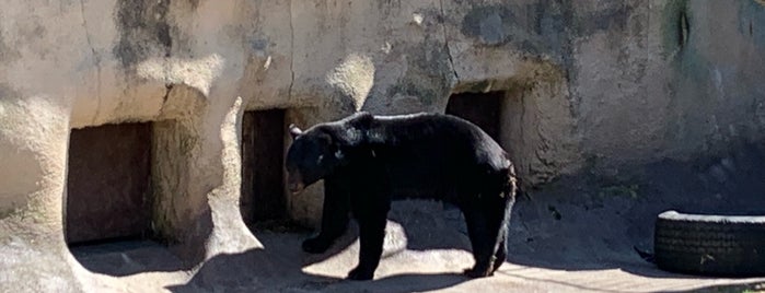 Wildlife Encounter is one of สถานที่ที่บันทึกไว้ของ kerry.