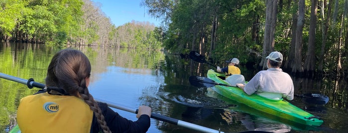 The Paddling Center at Shingle Creek is one of Things To Do.