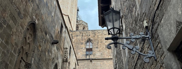 Claustre de la Catedral de Barcelona is one of Barcelona.