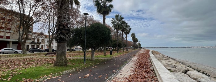 Avenida da Praia is one of Lx museus e jardins gratis.