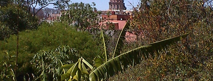 San Miguel de Allende is one of Recreation/ outings.