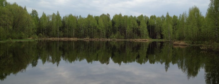 Новоспасский пруд is one of Расслабиться.