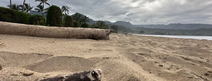 Hanalei Beach is one of Favorite places.