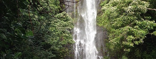 Waterfall is one of maui.